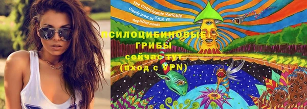 МДПВ Алзамай