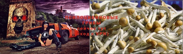 винт Алексин