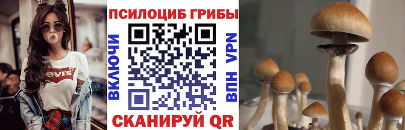 Галлюциногенные грибы мухоморы  Ливны 